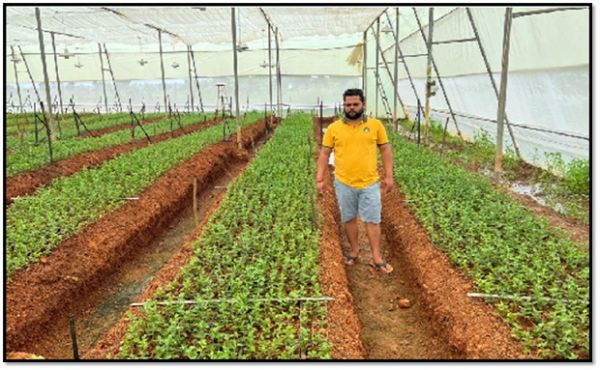 "मालीडीह, महासमुंद: फूलों के बागानों से महका भारत का ग्राम, किसान अमर चंद्राकर द्वारा सफल फूल खेती का अनुभव"