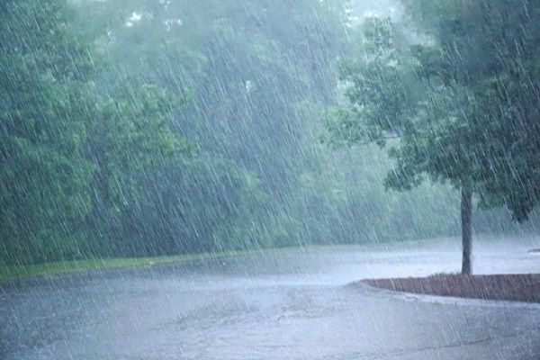 वर्षा, सर्वाधिक 329.7 मिमी कोरबा में छत्तीसगढ़ में अब तक 196.5 मिमी औसत वर्षा